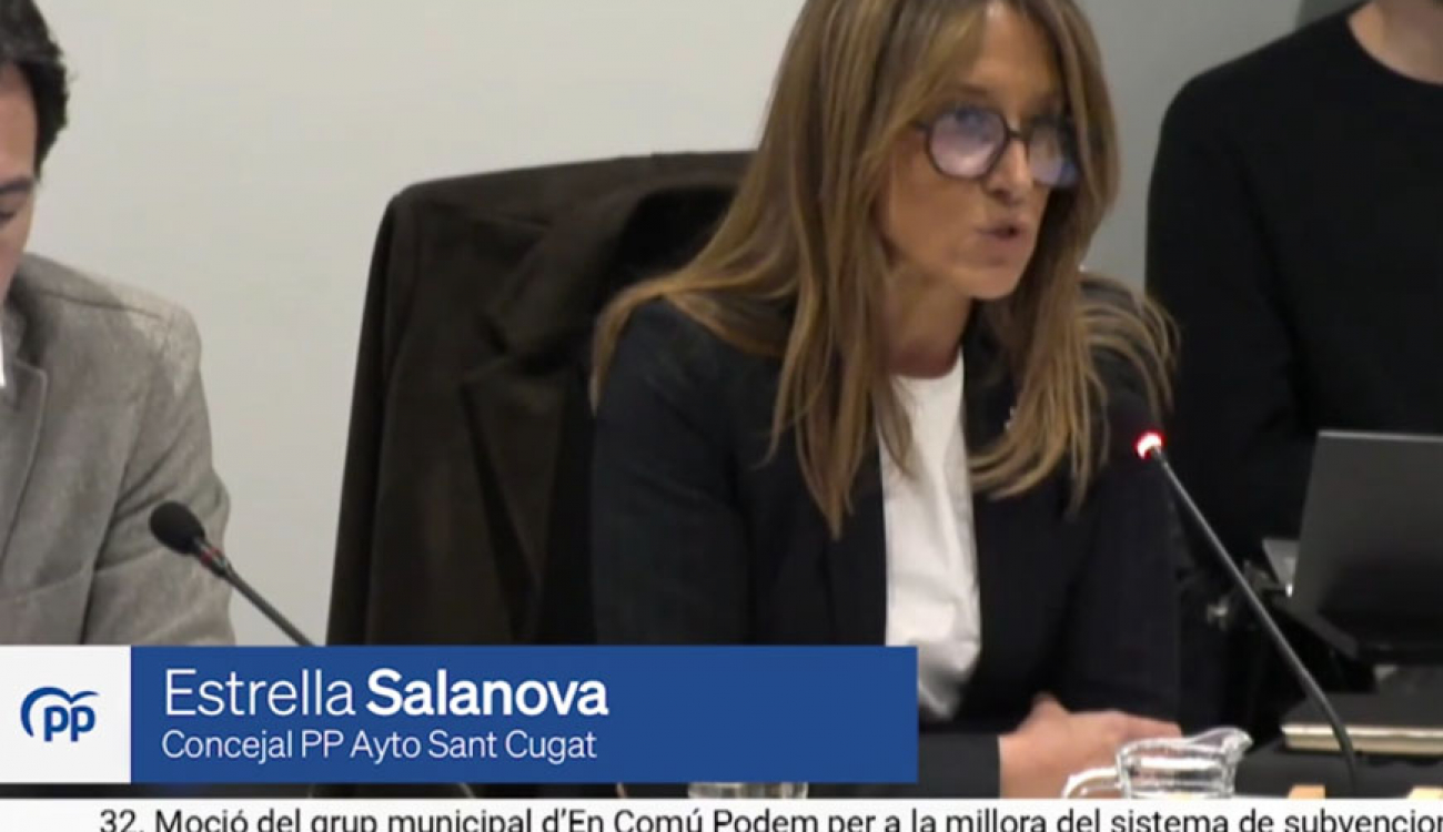 Sobre els criteris per atorgar les subvencions a entitats